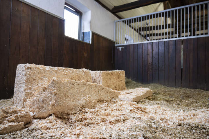 KANTRIE Hobelspäne XL